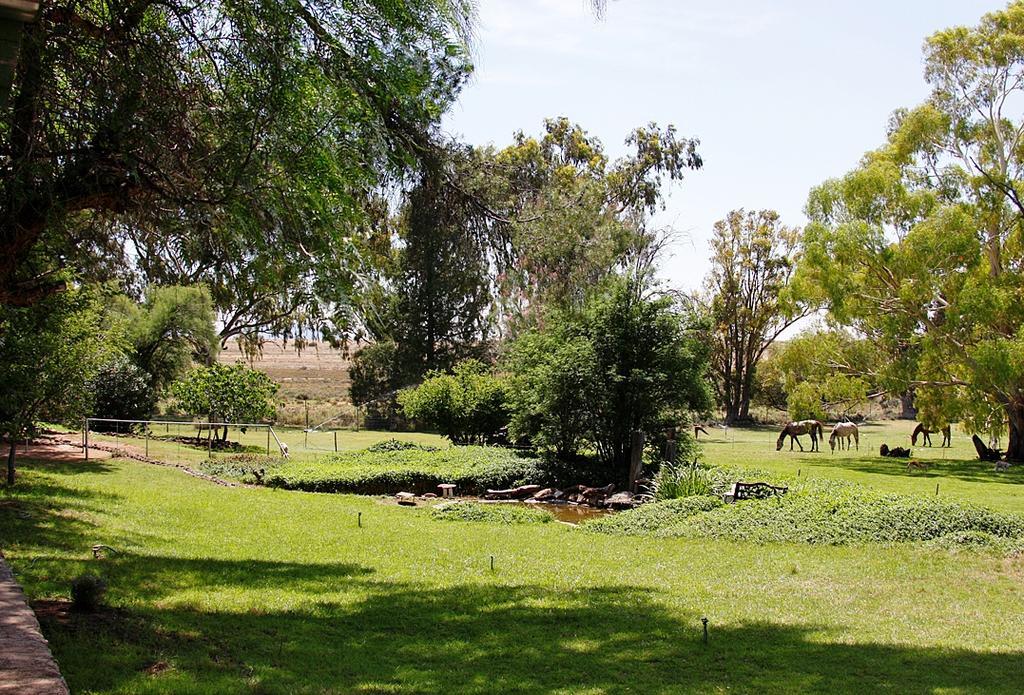 Garingboom Guest Farm Villa Springfontein Bagian luar foto